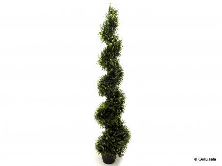 Buksmedis spiralės forma 180cm