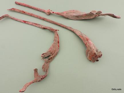 Ragai Natraj su pūkeliu rd