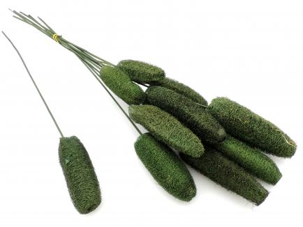 Luffa on Stem S.Green