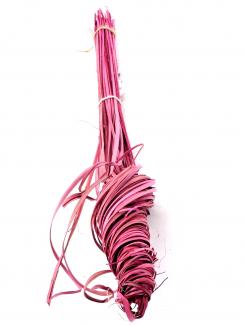 Palm Curly Col O.Pink