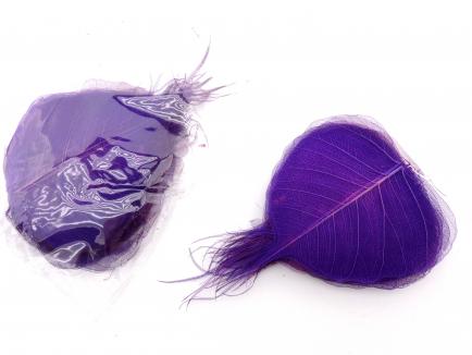 S.A.Skeletiniai lapai  t. violetiniai