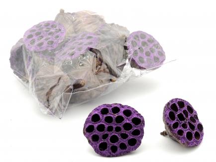 Lotus large nat + Violet glitter