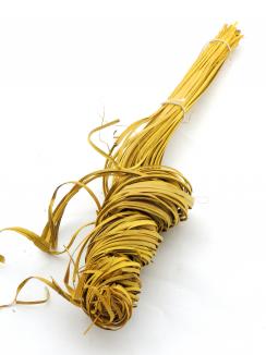 Palm Curly Col B.Yellow
