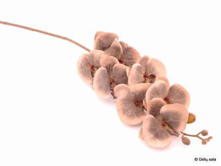 Dirbtinė orchidėja