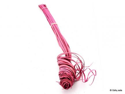 Palm Curly Col M.Pink