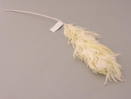 Smilga - pampas grass 