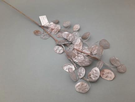 SILVER DOLLAR
