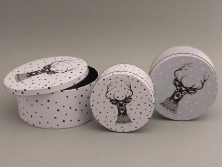 Storage canister Franz