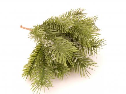 Eglės šakelė snieguota 
