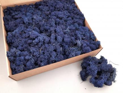 Stabilizuota samana Royal Blue 1kg