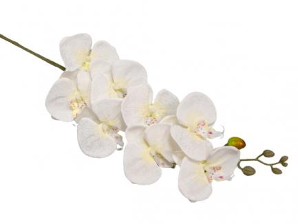 Dirbtinė orchidėja