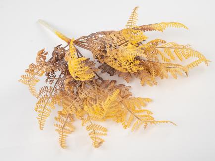 Žalumos krūmelis - papartis