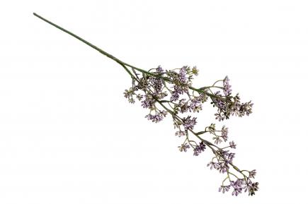 Žalumos šaka violetinė