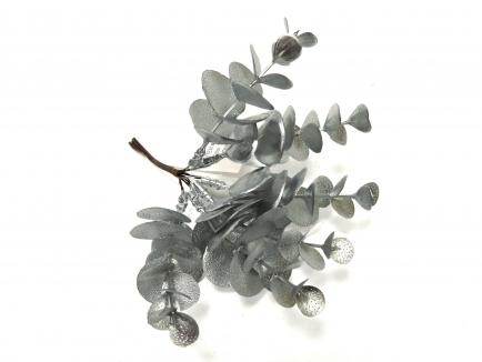 Eukaliptas Sidabrinis