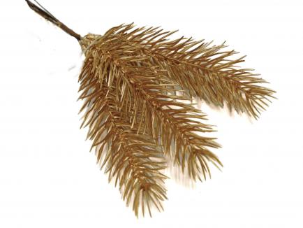 Kalėdinė eglės šakelė