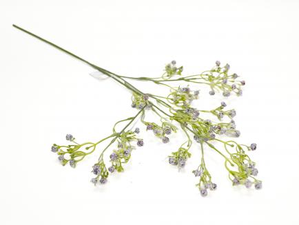 Gipsofilė violetinė 