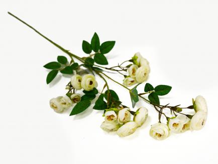 Vėdrynų šakelė WHITE