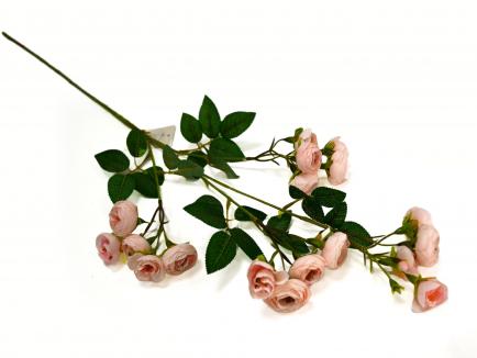 Vėdrynų šakelė LTPINK