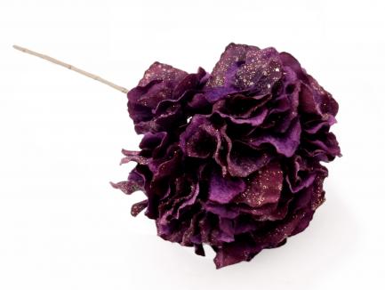 Velvetinė hortenzija  (blizganti)