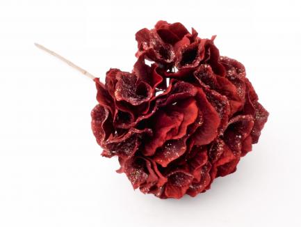 Velvetinė hortenzija  (blizganti)