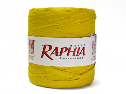 Dirbt.rafija basic 