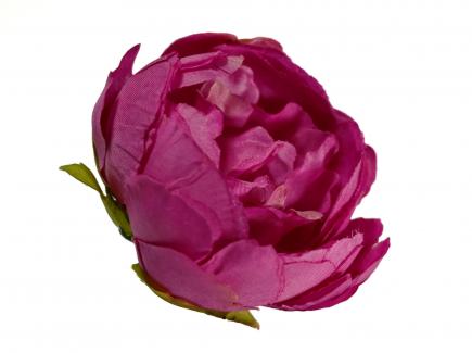 Bijūno žiedas Fuxia