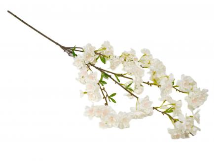 Vyšnios šaka 100cm 