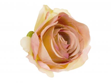 Rose heads