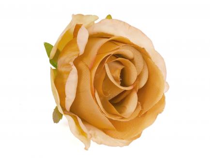 Rose heads