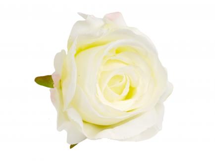 Rose heads
