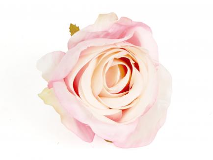 Rose heads