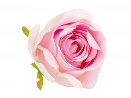 Rose heads