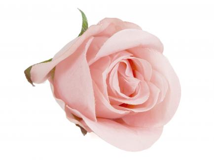 Rose heads