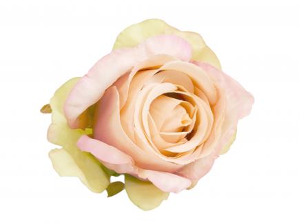 Rose heads