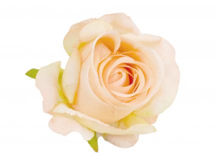 Rose heads