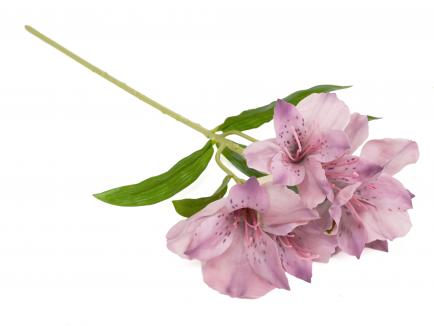 Alstromerijos šakelė PU/PINK