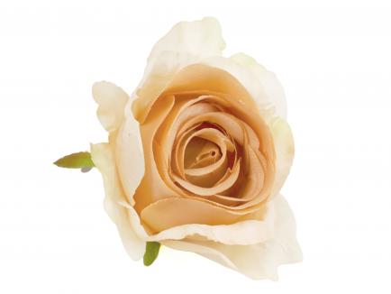 Rose heads