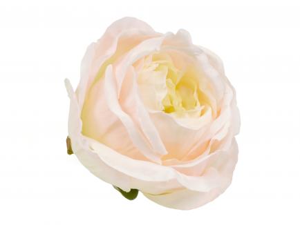 Rose heads