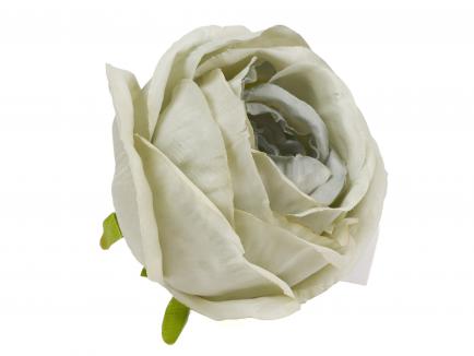 Rose heads