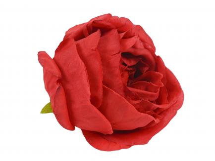 Rose heads