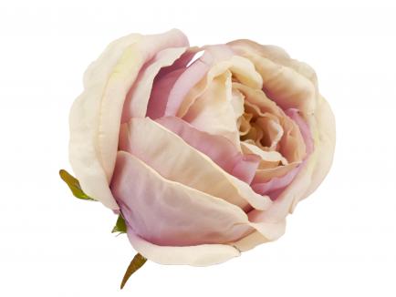 Rose heads