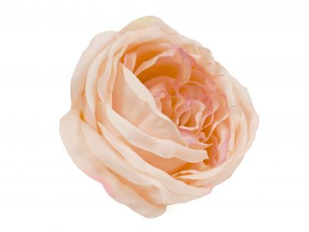 Rose heads