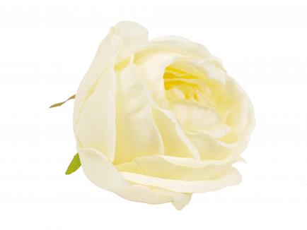 Rose heads