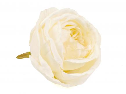 Rose heads