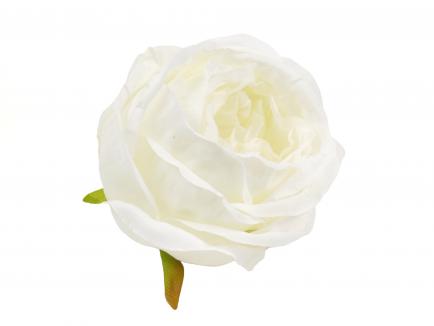 Rose heads