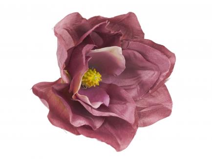Magnolijos žiedas PU