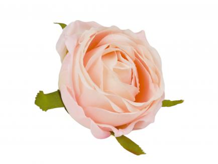 Rožės žiedas Pink