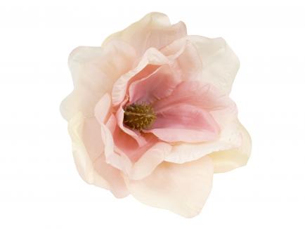 Magnolijos žiedas PU.PK