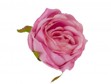Rožės žiedas Mauve