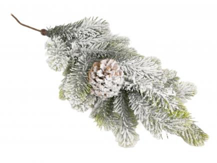 Eglės šaka snieguota 